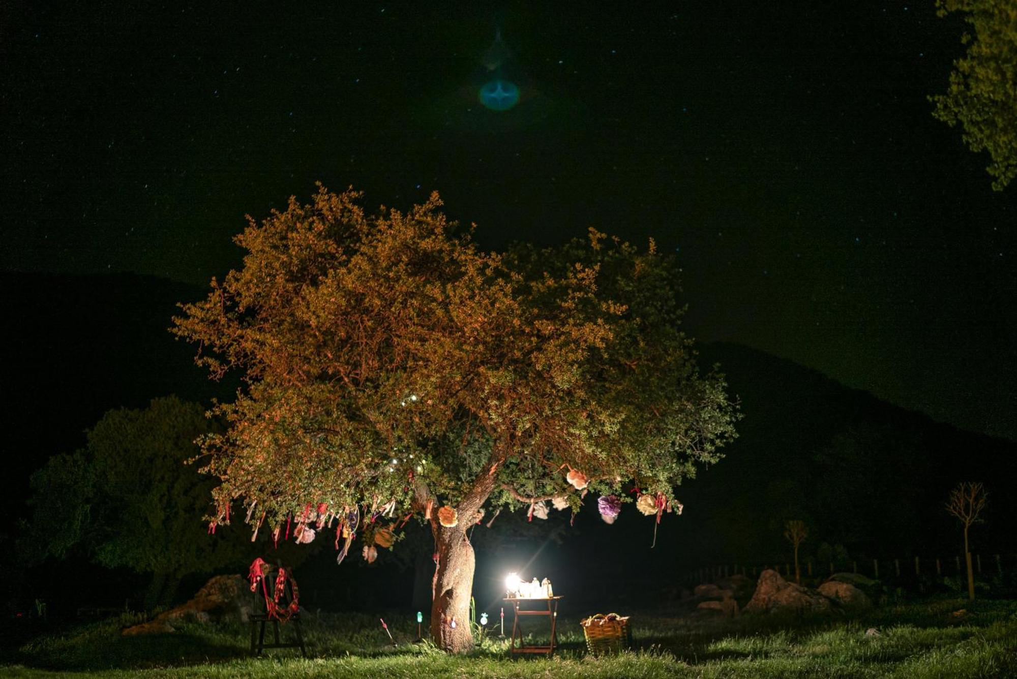 Babakamp Eco Ranch & Retreat Hotel Oludeniz Exterior photo